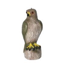 Check spelling or type a new query. Red Tailed Hawk Decoy Bird B Gone All Brands Saco Store