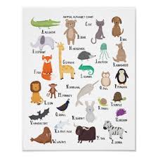 Animal Alphabet Chart A Z Art Print