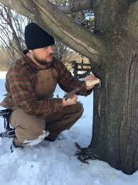 Small Batch Maple Syrup Making You Only Need 1 Tree