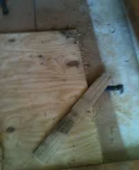 The subfloor is in good condition, but we are thinking of putting plywood over it before installing the flooring. Subfloor Mold Finding Removal