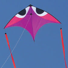 Flying Wings Purple Wala Glider Kite Delta Kite Kite Go Fly A Kite
