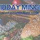 Midday Mingle