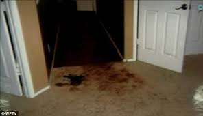 Jodi arias reportedly getting special treatment in perryville prison. 10 Crime Scene Photos With Horrifying Backstories Criminal