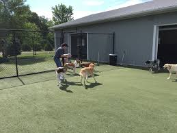 We did not find results for: Cottonwood Pet Resort Pet Boarding Elkhorn Omaha Grooming Pet Training Obedience Training