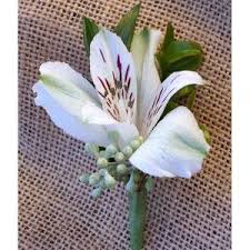 A Single Alstroemeria Bloom Accented By Filler And Greens Boutonniere Boutonniere Wedding Flowers Alstroemeria