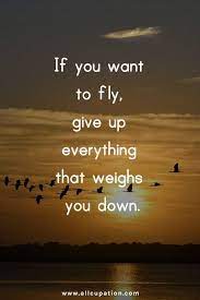 Allcupation Motivational Quotes About Career Development And Life 353 Quotes Sayings Inspiration Motivation W Fly Quotes Motivational Quotes Quotes