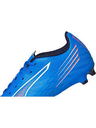 Image result for Amparo Blue 2001 Puma