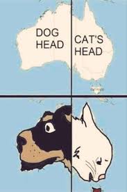 Western Australia Dog Head Eastern Australia Cat S Head Tasmania Cat Food Australia Funny Cute Funny Animals Australia Map