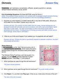 Begin with a single cell and watch as mitosis and cell division occurs. Gizmo Student Exploration Sheet Answers Ebooks Pdf Pdf Induced Info