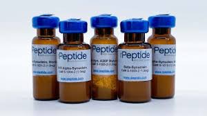 rPeptide | Recombinant Peptide Company USA | R&D Starts Here