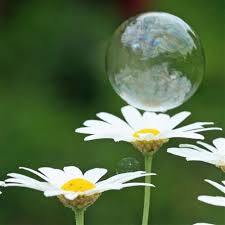 Bubble Bubble Toil And Trouble Bubbles Photography Daisy Bubbles
