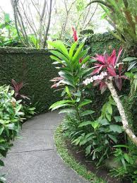 Balinesische Gartenbilder Balinesischer Garten Balinesischer Hinterhofgarten Pinterest Balinese Garden Tropical Landscaping Tropical Garden