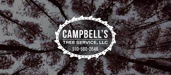 At campbell tree service, we know trees and have years of experience providing arborist services in kosciusko and across the county. Campbell S Tree Service Llc Home Facebook