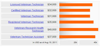 Why Do You Want To Be A Veterinarian Vs Vet Tech Student Doctor Network