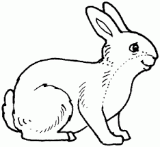 Comment dessiner lapin kawaii etape par etape dessins kawaii faciledessins de lapin a coloriercoloriage de lapin trop mignon a imprimer dessin lapincoloriage lapin. Lapin Coloriages Pour Enfants