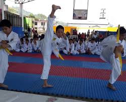 Presentan Taekwondoines Examen De Promocion De Grados Kup