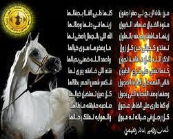 شعر الخيل من خيالها