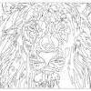Disney coloring pages coloring pages to print free printable coloring pages coloring pages for girls free coloring pages animal coloring pages coloring books alphabet coloring colouring. Https Encrypted Tbn0 Gstatic Com Images Q Tbn And9gcqyloa Mgc3hc L7n6ft9 Oeloccs8xmg2cfqe2x9phvkyb25q Usqp Cau