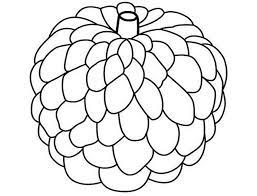 100+ Tranh tô màu cho bé theo độ tuổi, theo chủ đề cực hấp dẫn