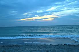 Image result for Sandy Beach Brown 2011 Captiva
