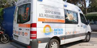 Sevimli Dostlar Bayramda Yalniz Degil Guncel Bizimaksu Com