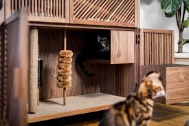 The Cat Flat Gives Cats A Home With 10 Things To Make Them Happy