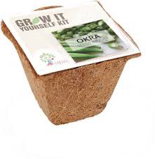 Jain drip kit helps you to grow your own vegetable in your home garden or terrace. Grow It Yourself Kit Okra Seed With Biodegradable Pot For Home And Garden Decor Kitchen Gardening Organic Vegetable Seed Seed Price In India Buy Grow It Yourself Kit Okra