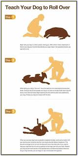 How To Train Your Dog To Sit And Stay Dog Training Obedience Puppy Training Puppy Obedience Training