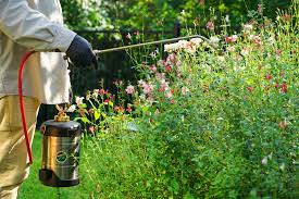 A similar effect is found by hosing these herbal plants down to release the scent around the patio. Natural Treatment For Yard Mosquito Joe Of Baltimore