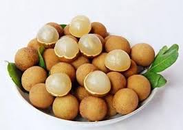 We did not find results for: Longan Fruit Dried Or Dragon S Eyes The Longan Is A Tropical Fruit Rich In Nutrients It Is Used In The Preparation Of Sweet In 2021 Longan Food International Recipes