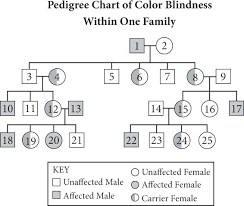 causes of color blindness bestlink