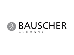 Could the chinese be attempting to make the west dependent on china for those products? History Bauscher