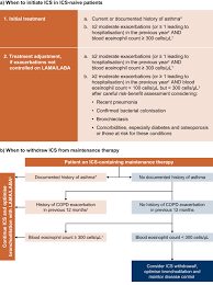 Image result for Medications in COPD Management