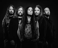 Image result for Agrimonia