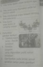 Tari tayub dari jawa, tari gandrung dari sasak, joged bumbung dari bali, gareng lamen dari flores, dan hampir semua. Tari Saman Dari Aceh Gambar Pola Lantai Visitbandaaceh Com