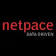 Netpace logo