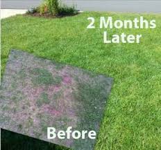 New homes often have extreme compaction on the lawn area due to the building process (large machinery, lots of people, etc.). Liquid Lawn Fertilizer Aerator Dethatcher Soil Conditioner Aerate Lawn Lawn Fertilizer Pergola Pictures