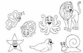 Animales Invertebrados Para Colorear Animals Coloring Pages Colorful Pictures