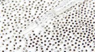 There are also some tree frogs that lay their eggs on vegetation that is above water. Frog Eggs Help Researchers Understand Repair Of Dna Damages