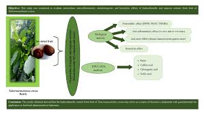 Image result for Tabernaemontana crassa