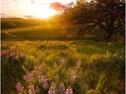 The park isn't far from the famous celilo falls, which. Columbia Hills Washington State Parks Foundation