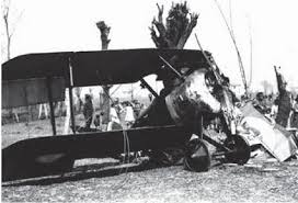 This, according to historical documents and the rof skins, is what his plane looked like on that april 1918 day. Sopwith Camel F 1 Archives This Day In Aviation