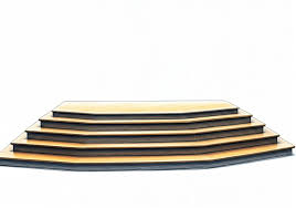 Image result for Dais