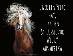 Pin Auf Horse Quotes