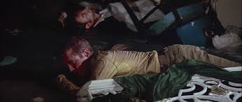 Image result for Autumn Buff 1977 Hussmann