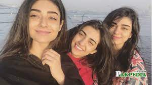 Sarah khan's family is from karachi city of pakistan. Sarah Khan Pakpedia Pakistan S Biggest Online Encyclopedia