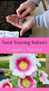 Hardware stores, grocery stores , local garden centers and greenhouses ,and. Pin On Plant For Success