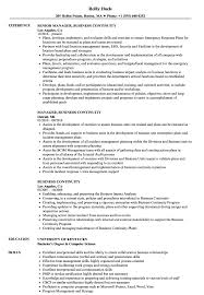 Business Continuity Resume Samples Velvet Jobs