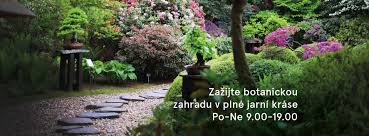 Vítejte na oficiální stránce botanické zahrady praha! Botanicka Zahrada Praha Home Facebook
