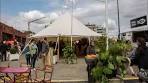 Dive into the World of MAS (Museum aan de Stroom in ... - YouTube